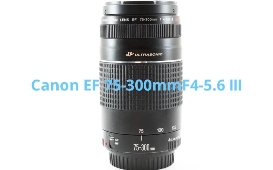 デジタル一眼レフカメラ　Canon EF 75-300mm F4-5.6 Ⅲ EF75-300mm F4-5.6 III USM - キヤノンカメラミュージアム