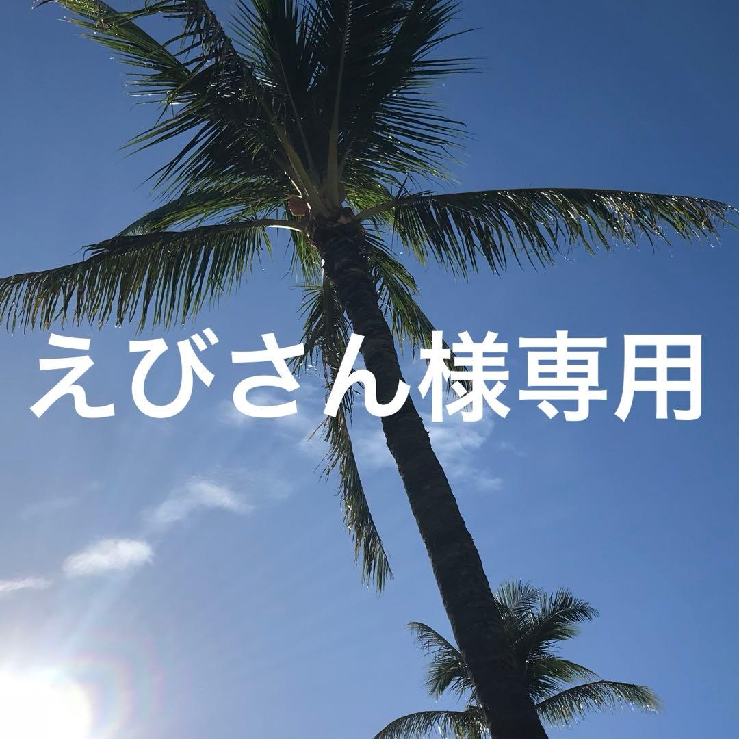 えびさん 海老旨煮2L（ブラックタイガーえび15尾/450g）X2パックおせち 業務用