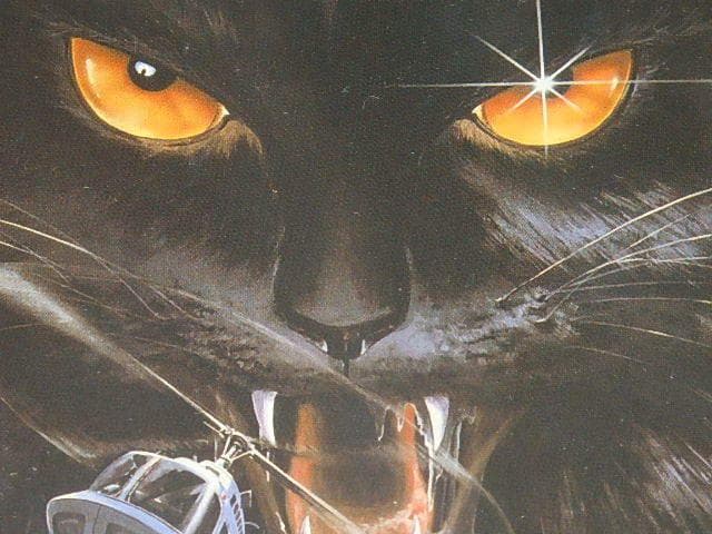 ★新品DVD　暗号名 黒猫を追え！ 柴俊夫/榎木孝明/国広富之/中島ゆたかさん Amazon.co.jp: 暗号名 黒猫を追え！（コードネーム ブラックキャットを