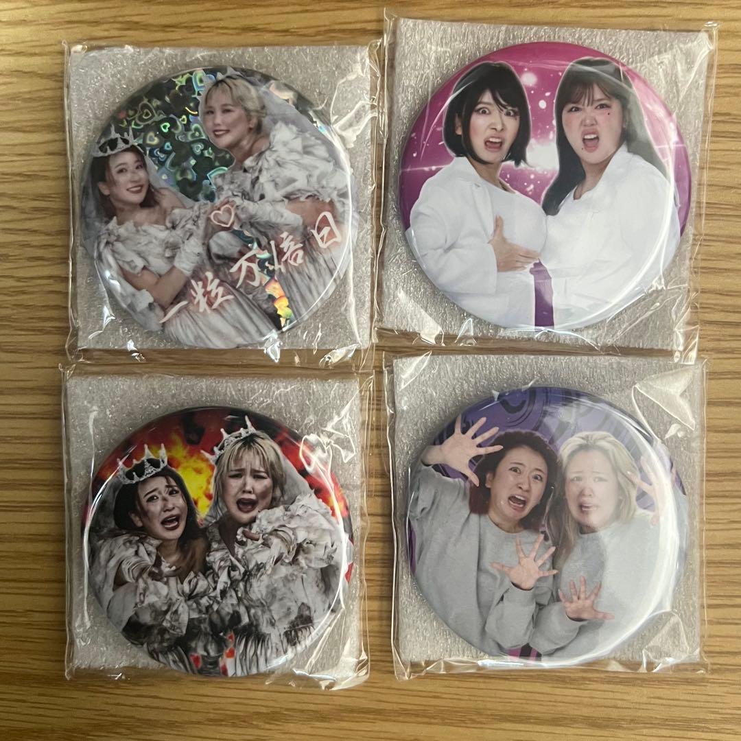 2種類セット 平成フラミンゴ 助け展 缶ミラーバッジ - メルカリ 平成