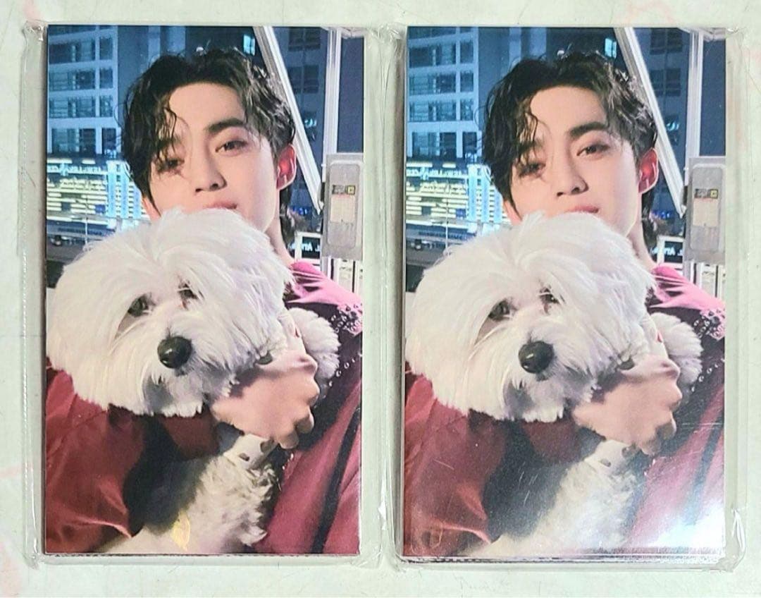 SEVENTEEN セブチ FML 東京 会場限定 トレカ 未開封 SEVENTEEN セブチ FML 東京 会場限定 トレカ 未開封 SEVENTEEN 会場