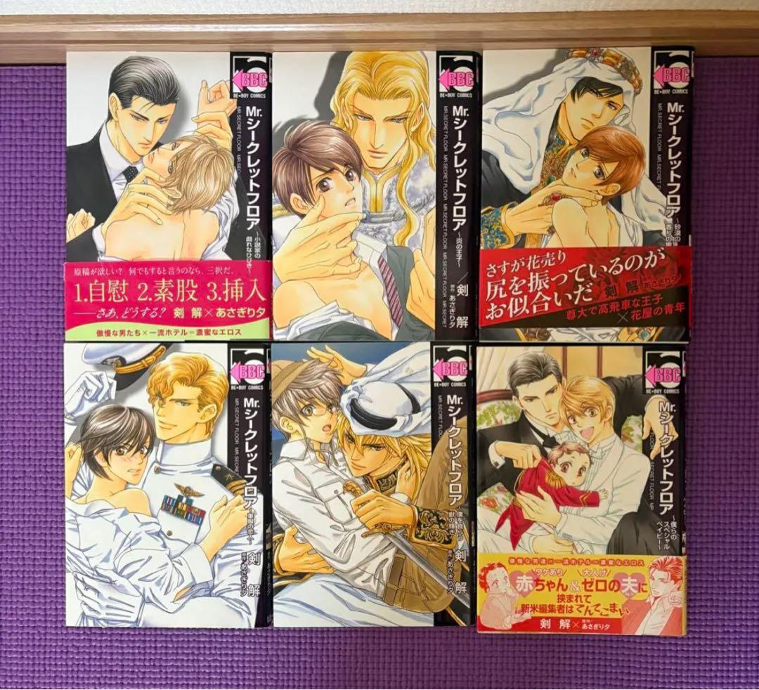 BL漫画 29冊 まとめ売り 朝田ねむい 蓮山田れん 石田育絵