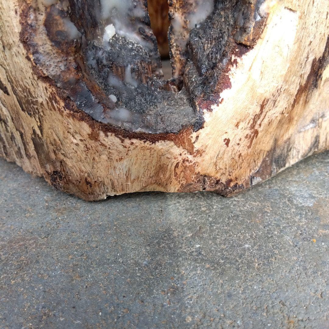 天然木 昆虫採集道具 日本みつばち誘引待ち箱のベース - メルカリ