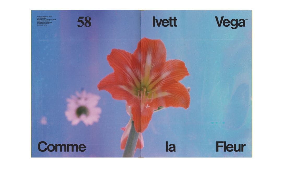 ❣️P Nº11 “EVERYTHING” E • Mayuri by Jared