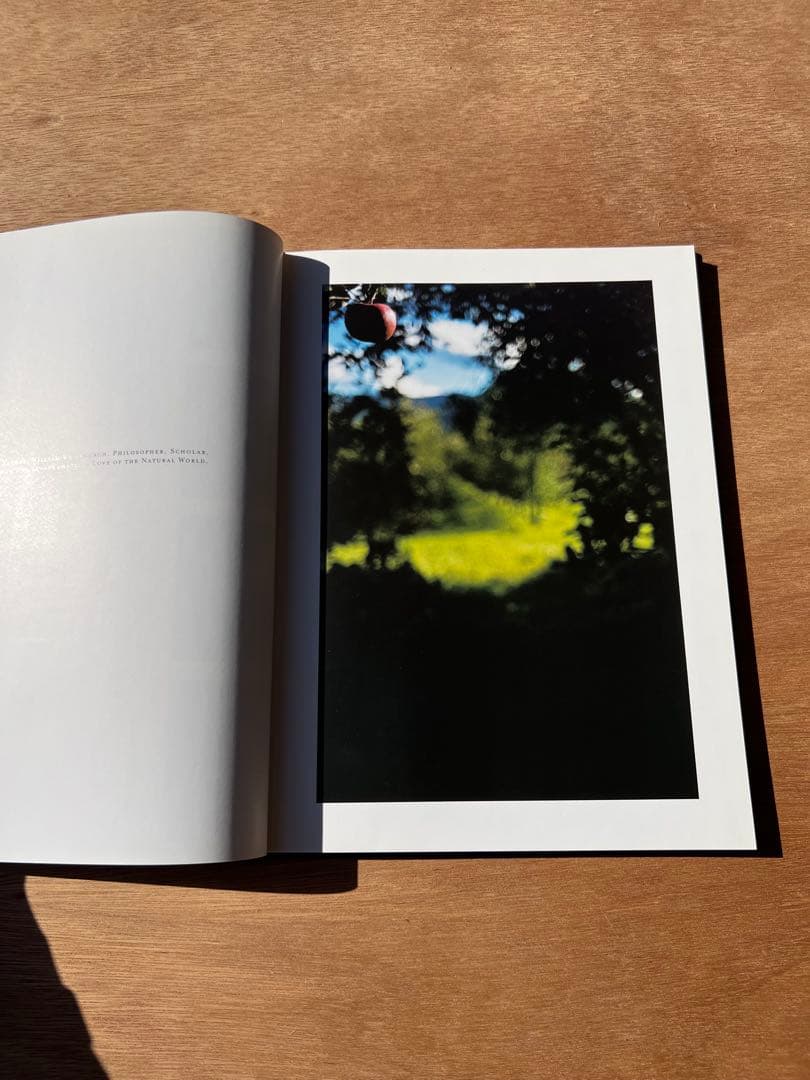 Lana by Terri Weifenbach ハードカバー - メルカリ