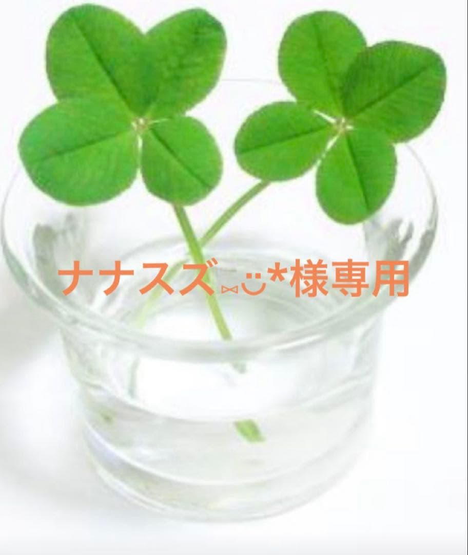 ナナスズ⑅︎◡̈︎* adidas ZX 8000 KI1377 Grey Three Semi Lucid Blue Lucid Pink Men's