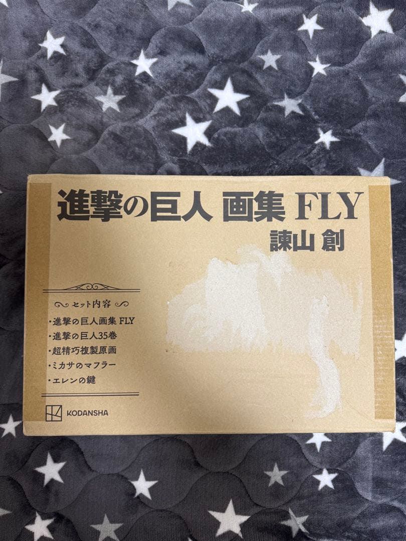 新品未開封品 進撃の巨人 画集 FLY - メルカリ