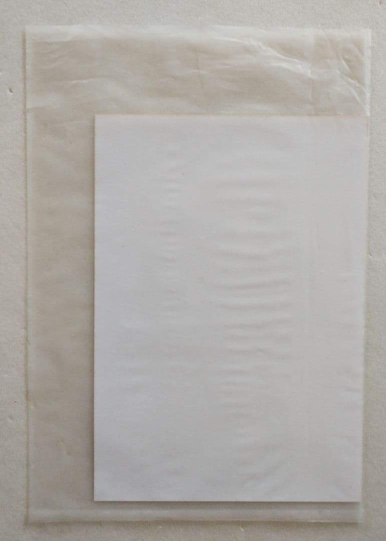 ★未開封★ さくら学院 2011年度 初回限定さ盤 CD+DVD 写真付