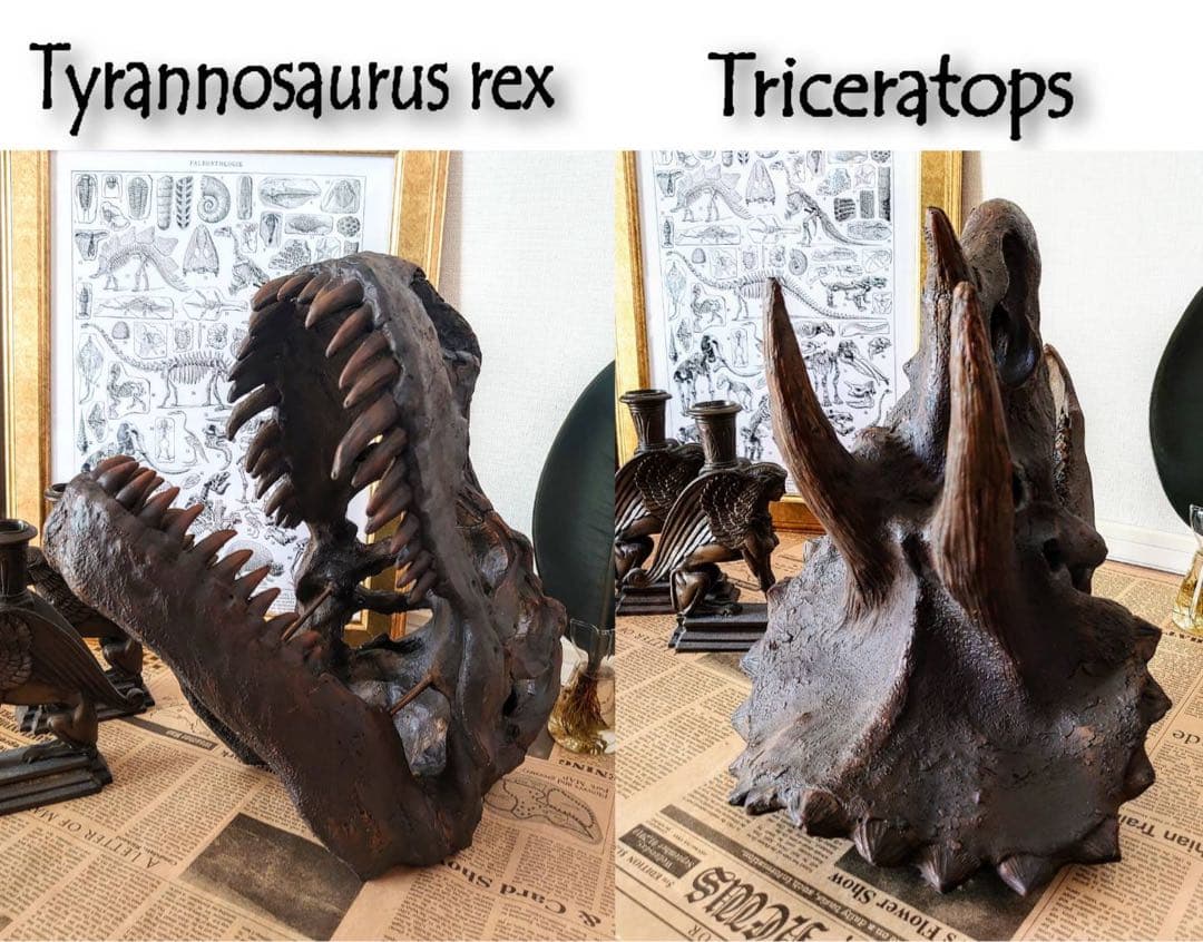 お得な2個セット！ ティラノサウルス 化石 インテリア 雑貨 オブジェ