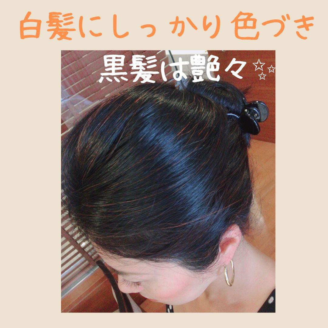 オーガニックヘナ【最高AAAランク高品質ヘナ】ヘナ白髪染め オレンジ