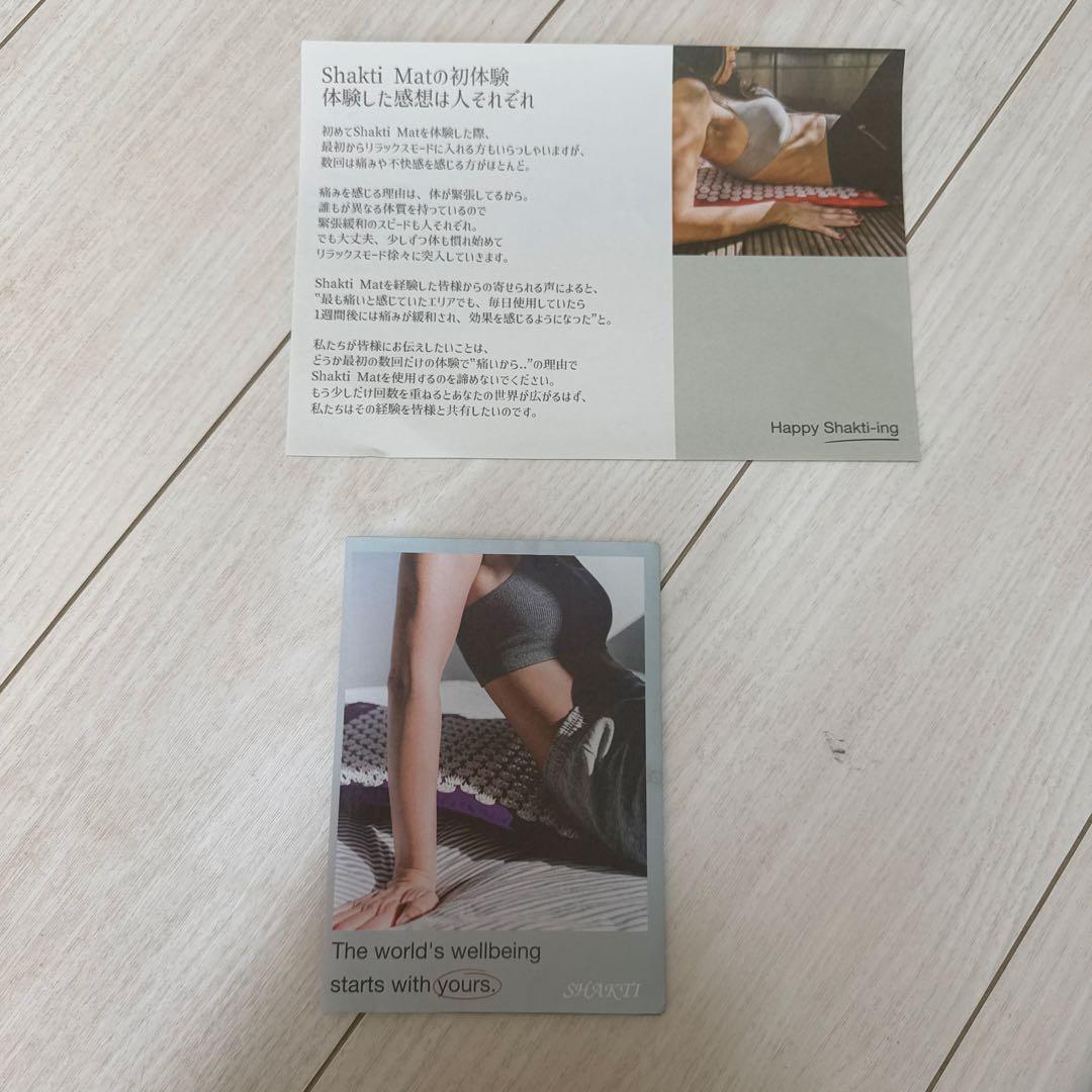 SHAKTI シャクティ マット&ピロー 正規品 インディゴ レベル3 - メルカリ