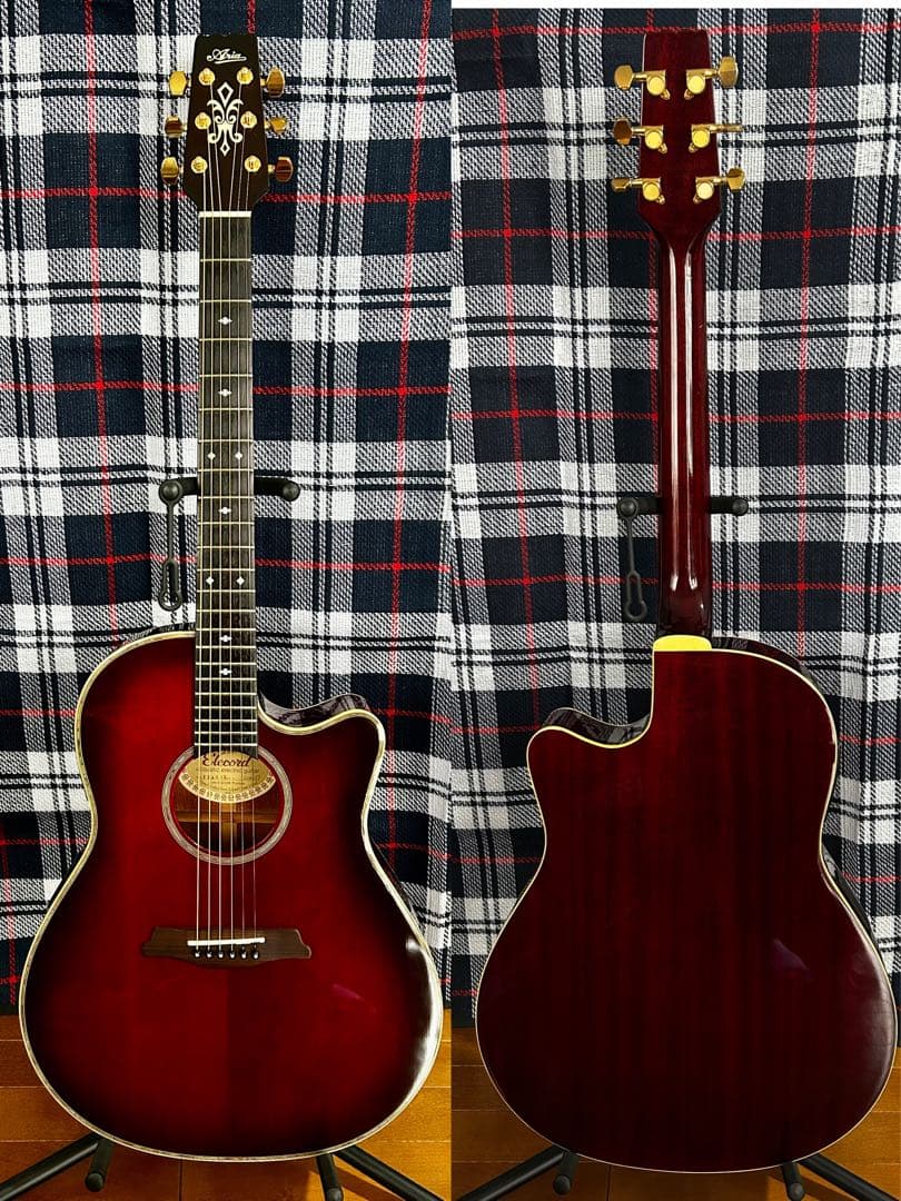 みなみさん専用 美品 Aria製エレアコ FEA-30Z Fishman搭載 ARIA（アリア） ARIA APE-100 N 薄胴 サイドサウンドホール エレアコ