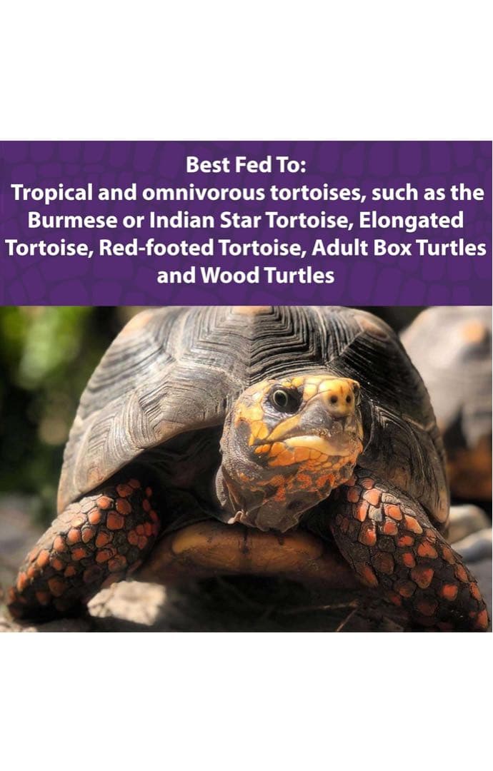 Mazuri Tortoise Diet 11.34Kg リクガメ イグアナ