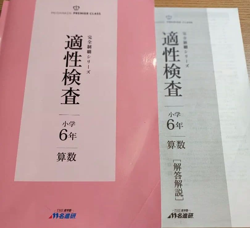 名進研　完全制覇シリーズ適性検査 小学6年 教材