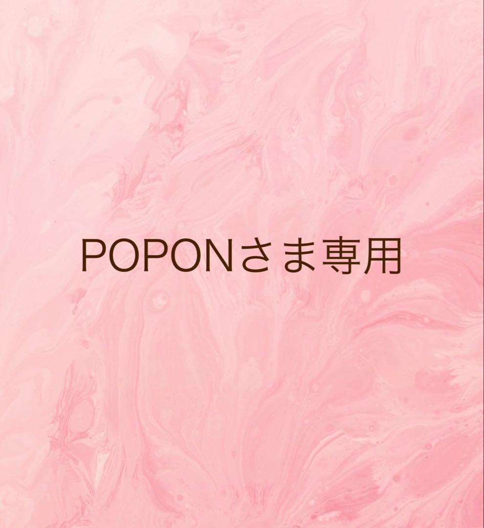 POPON購入 23~Ninja ZX-4R SE/RR (8BL-ZX400P) POWERBOX メガホン サイレンサー