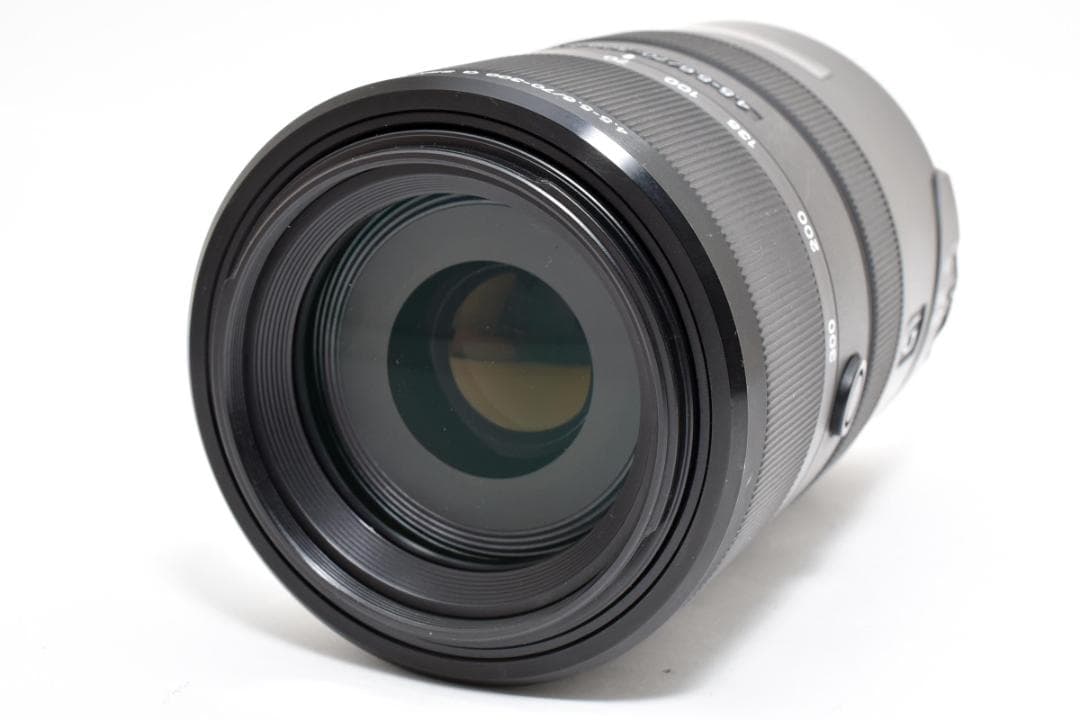 超美品 ソニー 70-300 F4.5-5.6 SAL70300G α H380