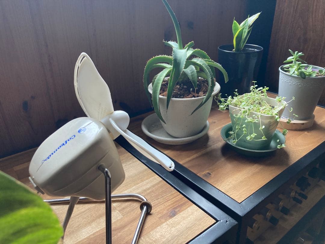 ヴィンテージ】Caframo 707 カナダ製 卓上扇風機 観葉植物用にも