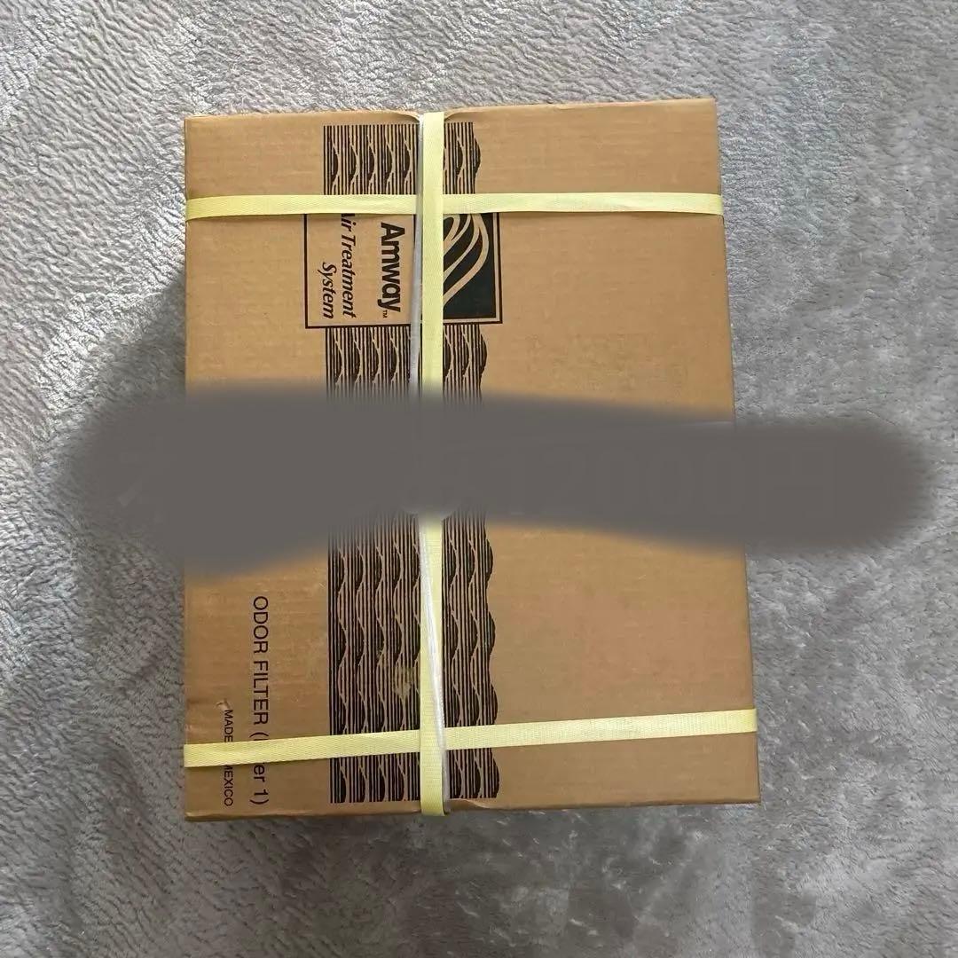 アムウェイの交換用フィルター1と2です。値下げいたしました！ Amway アムウェイ 空気清浄機 S 交換用フィルターセット 互換品