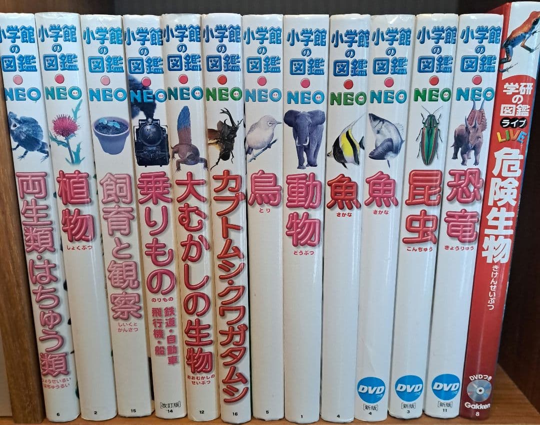 小学館の図鑑NEO 　セット 小学館の図鑑NEO／1〜20巻セット : 脳トレ生活 - 通販 - Yahoo