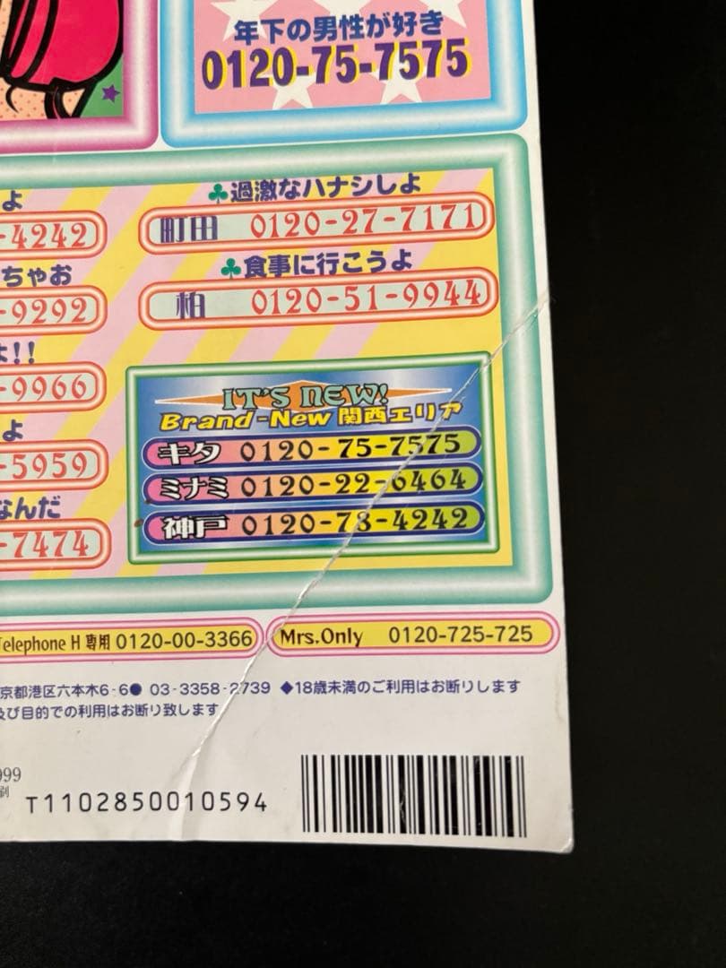近所迷惑　家庭の事情　偽りの家　小野拓実　レディースコミック　レディコミ