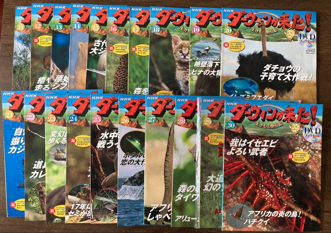 NHKダーウィンが来た! DVDブック1-45巻 - メルカリ