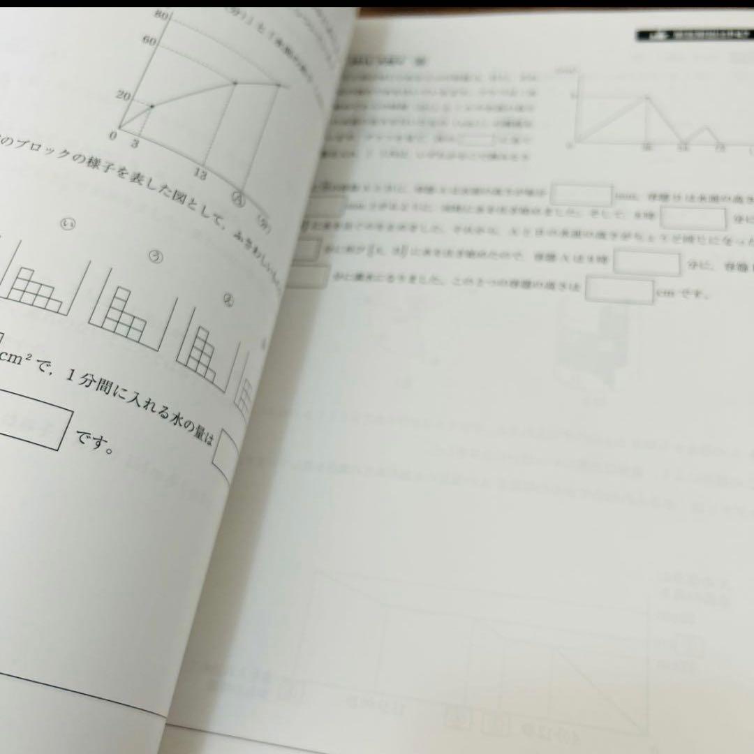 ㉔ AB 新品自宅保管 早稲田アカデミー 【NN女子学院の算数315】 - メルカリ