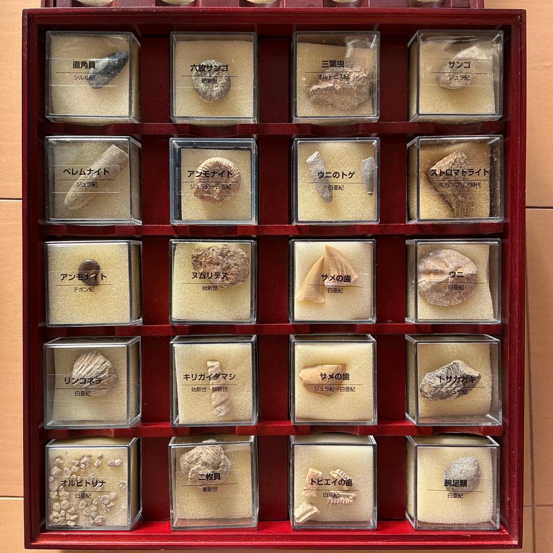 ディアゴスティーニ トレジャーストーン化石・鉱石・宝石コレクション