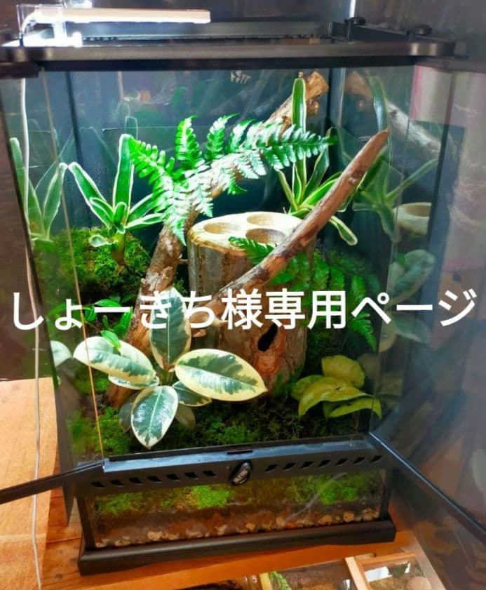 しょーきちページ Digital Custom Builder 理想のオートバイを求めて、 AIというガレージ