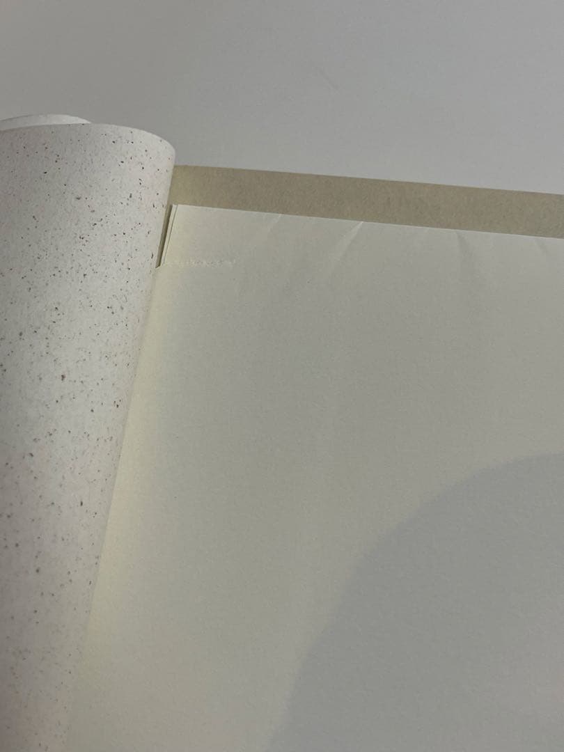 バービーボーイズ NO COMMENT / 杏子 伝説の水路 ネッシーを探して