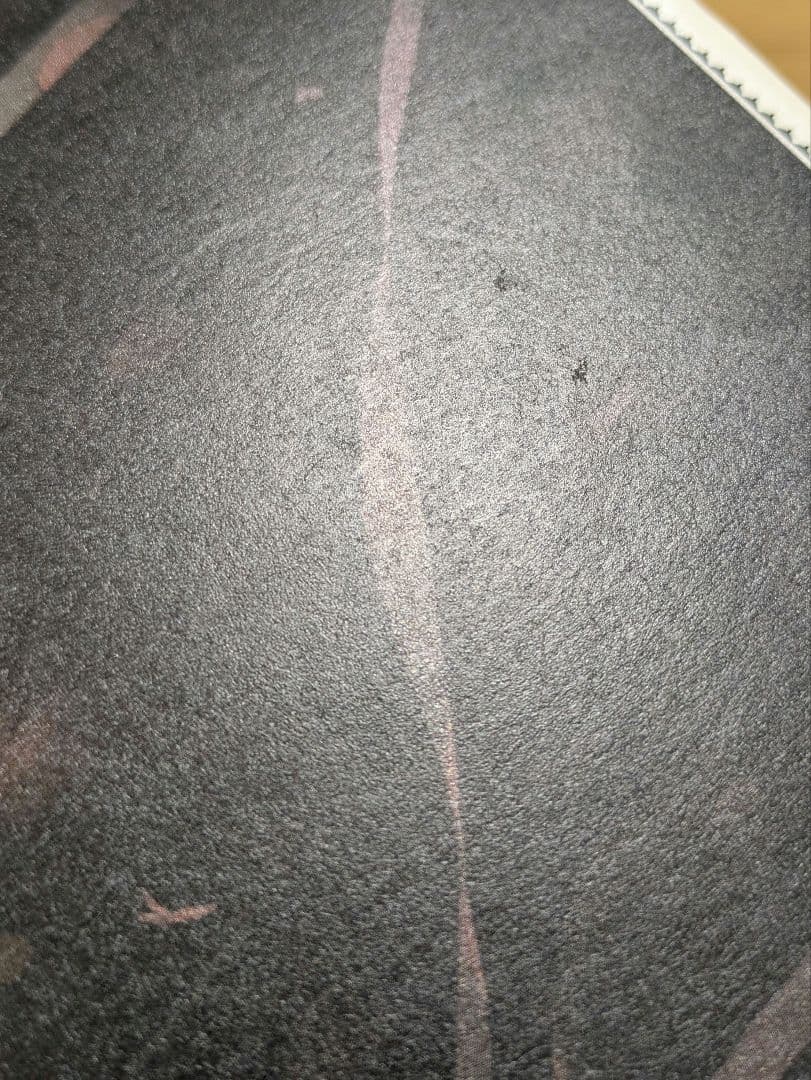 武田日向先生画集 lumiere リュミエール