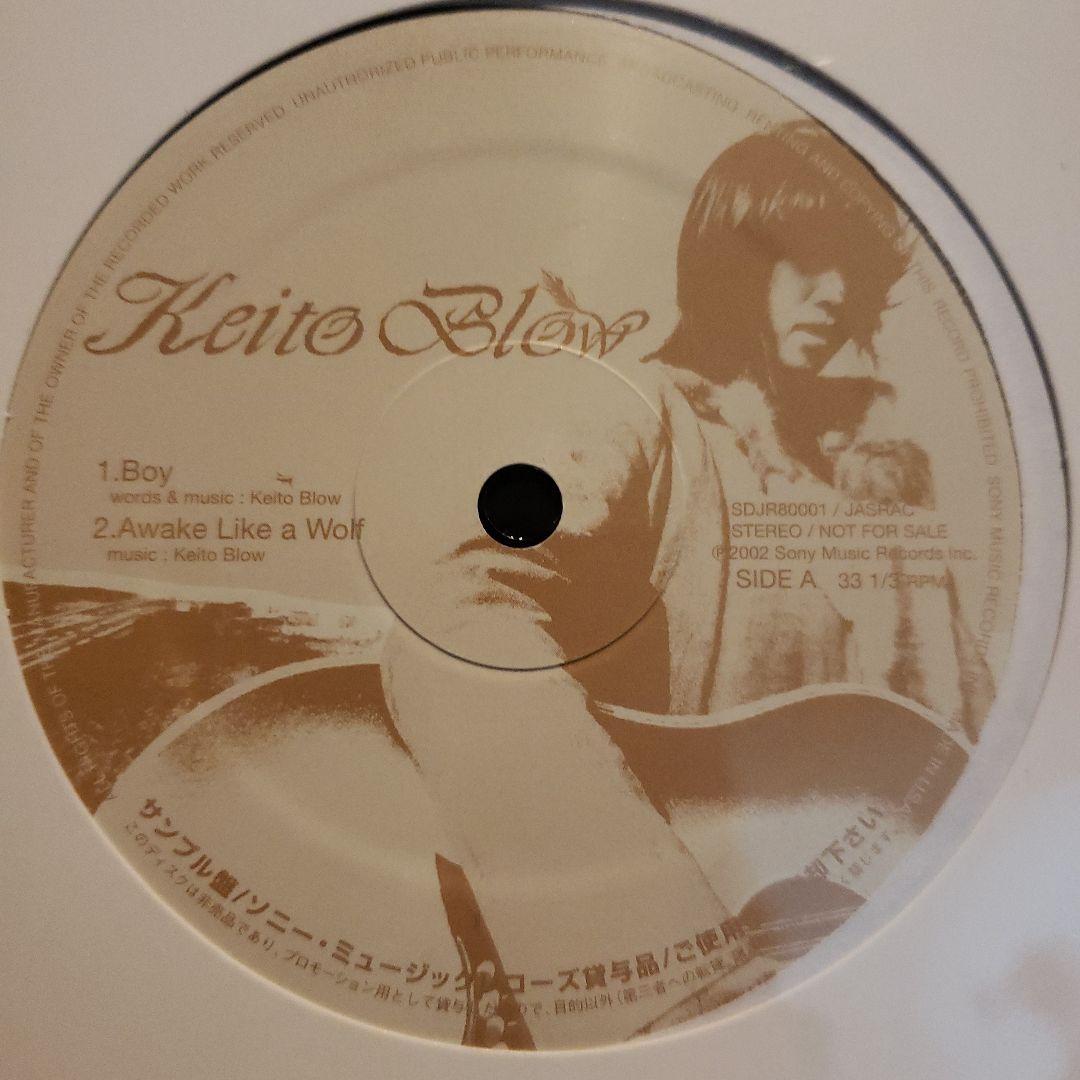 希少 Keito Blow 国内プロモ 非売品 にじさんじ × ふもコレ キーボード フレン・E・ルスタリオ VARMILO