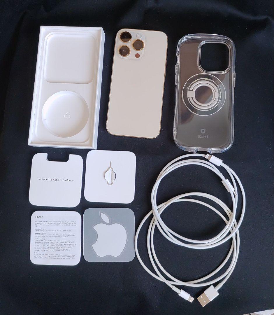 ましとです、ありがとう御座いました！　 Pro 256GB SIマケ2個付