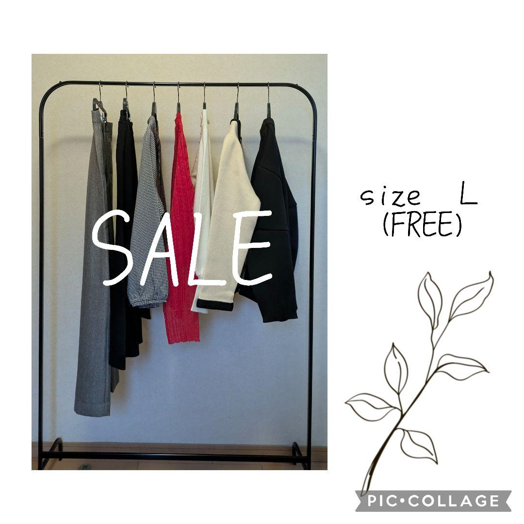 SALE　まとめ売り　Ｌサイズ(FREE) WEBチラシセール品情報 1月11日～1月17日版 - ツクモ福岡店 最新情報