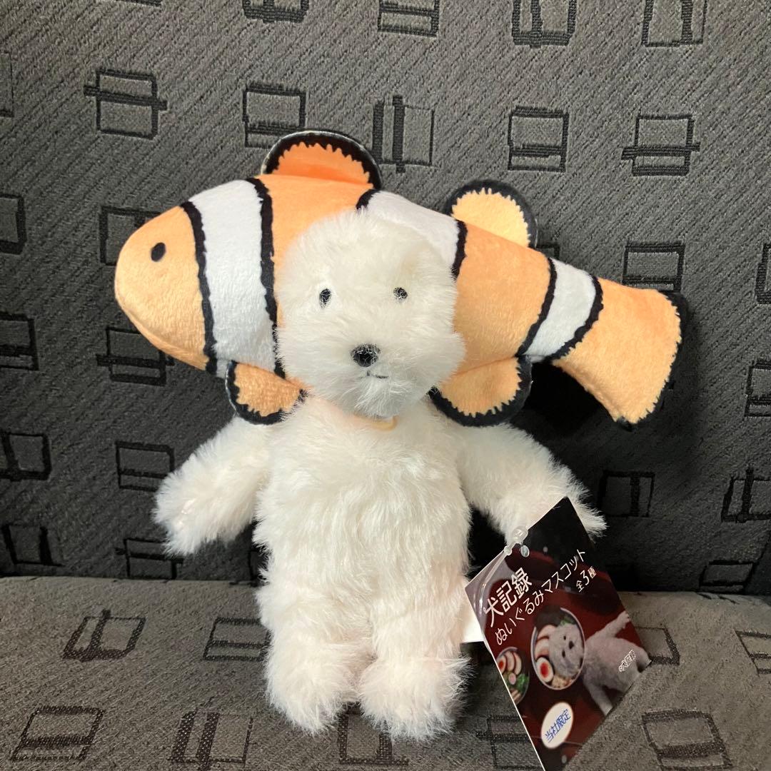 モーリーファンタジー 犬記録 ぬいぐるみ クマノミ お顔厳選 - メルカリ