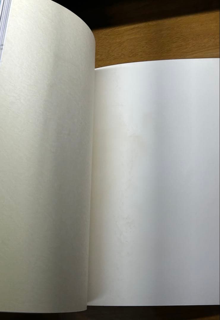 空山基　『拷問』 (Torquēreトルクェーレ) NAGA ナーガ　初版第1刷