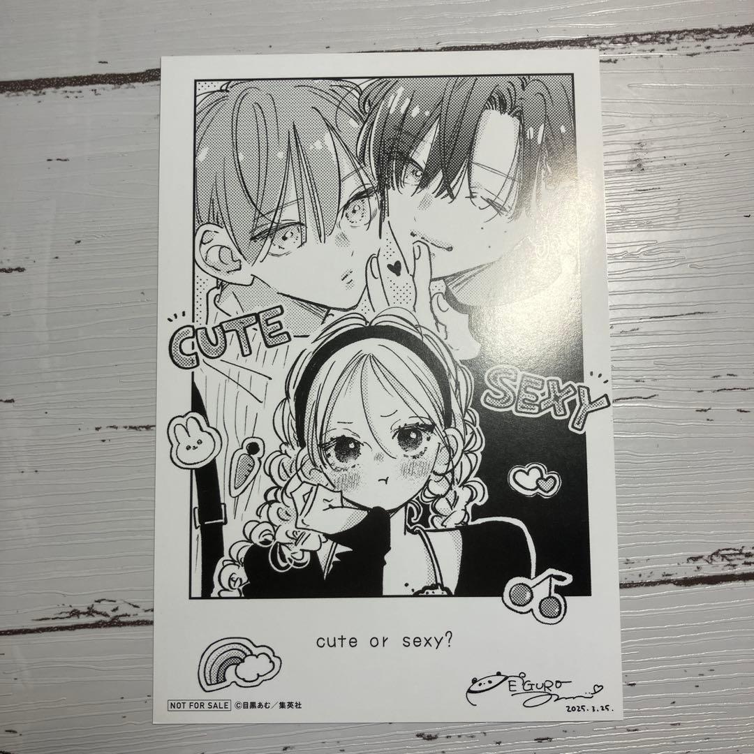 お姉ちゃんの翠くん 特典 ポストカード ハガキ - メルカリ