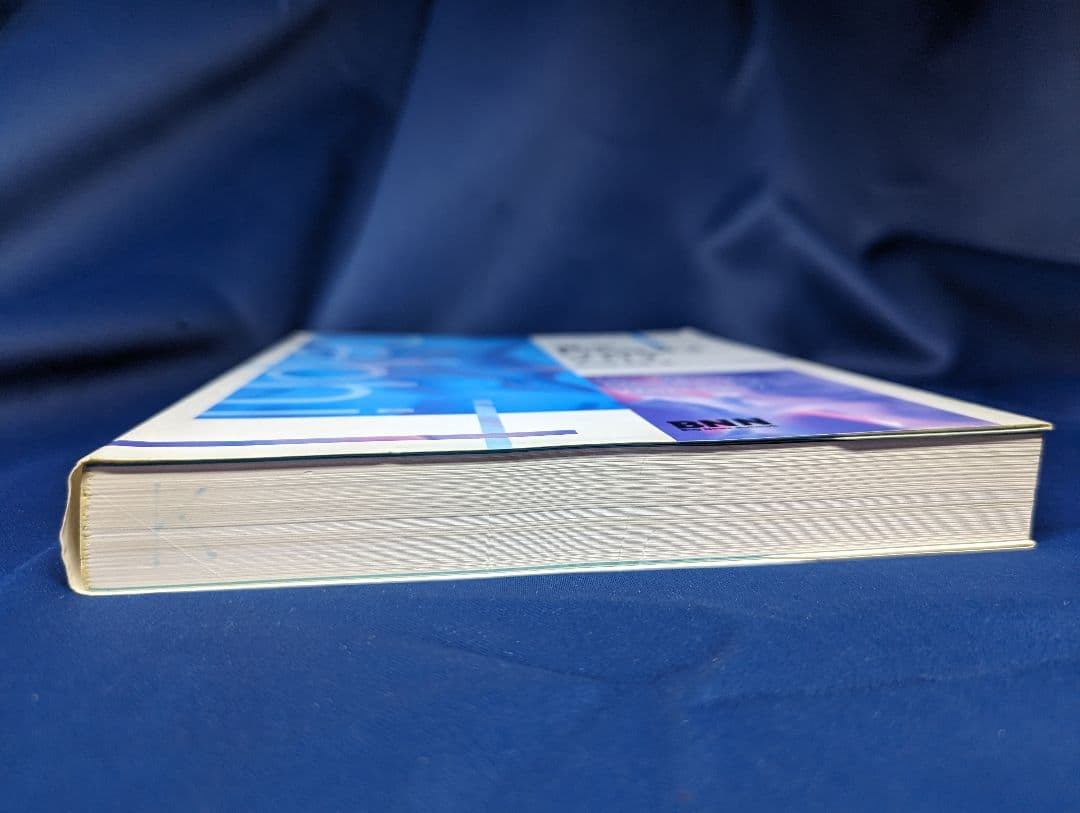 ●C 遊ぶDelphi  2.0J 山田昭哲 BNN