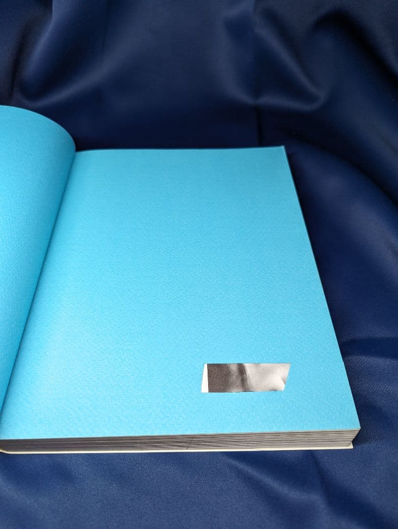 ●C 遊ぶDelphi  2.0J 山田昭哲 BNN