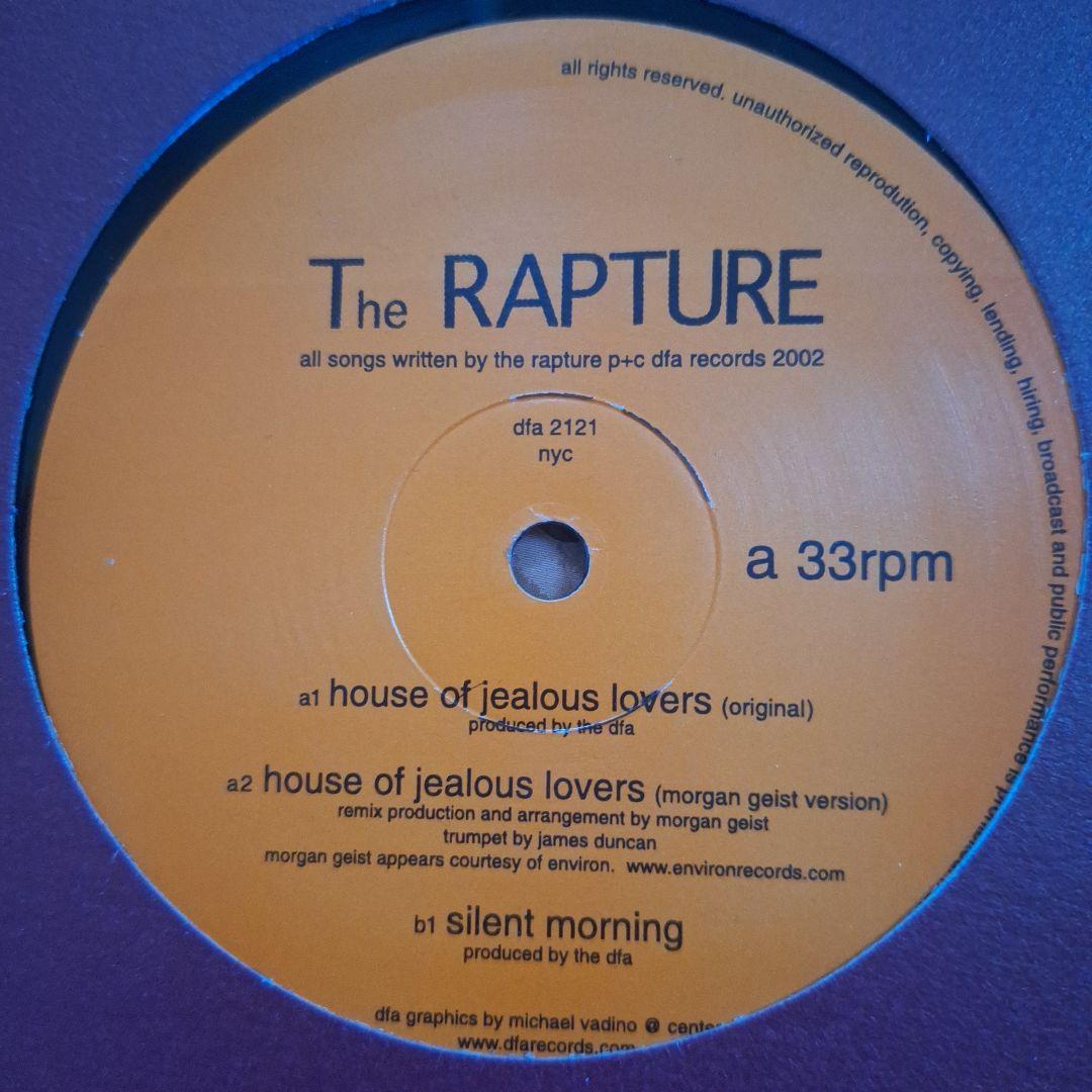 テクノ ハウス デジロック系 レコード 11枚セット