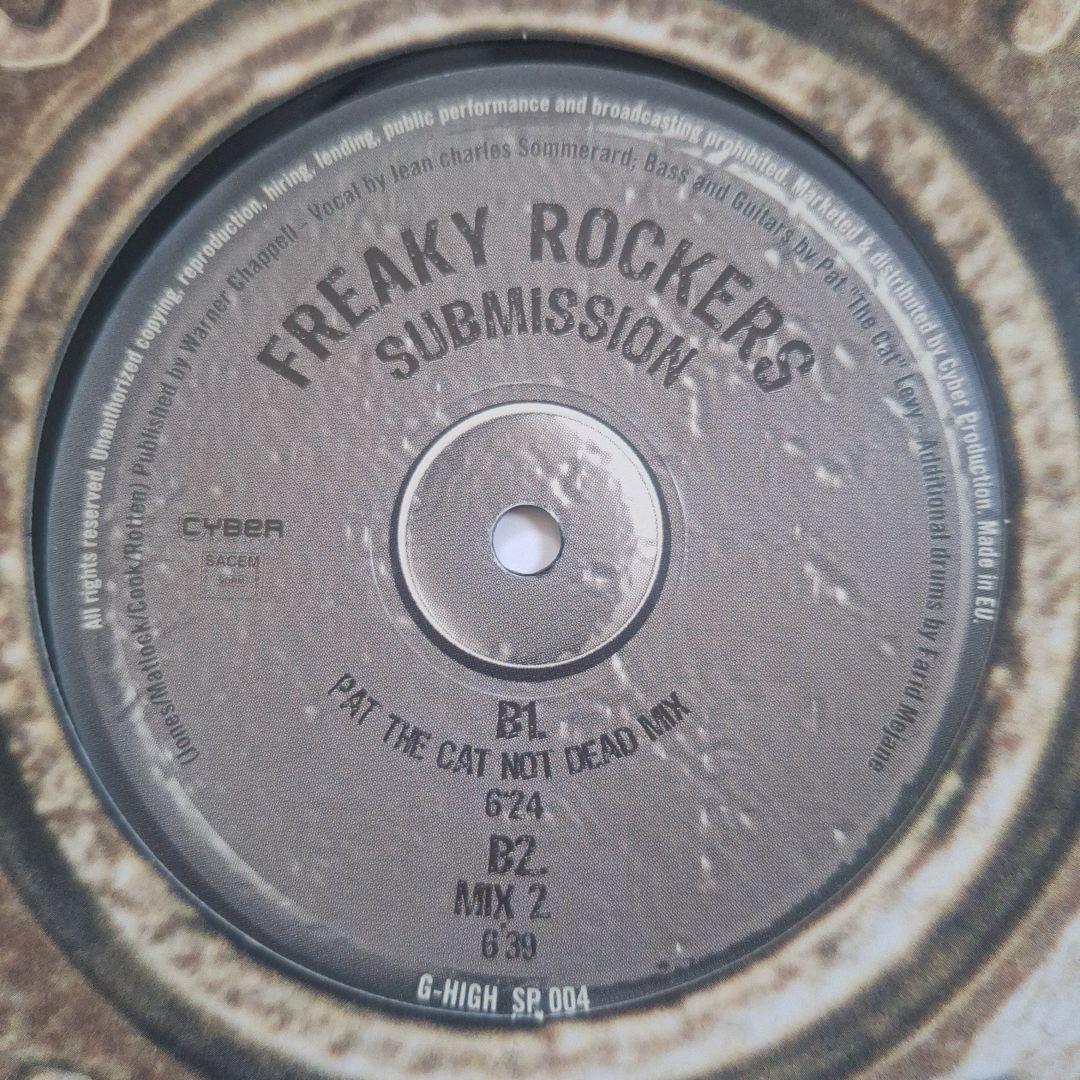 テクノ ハウス デジロック系 レコード 11枚セット