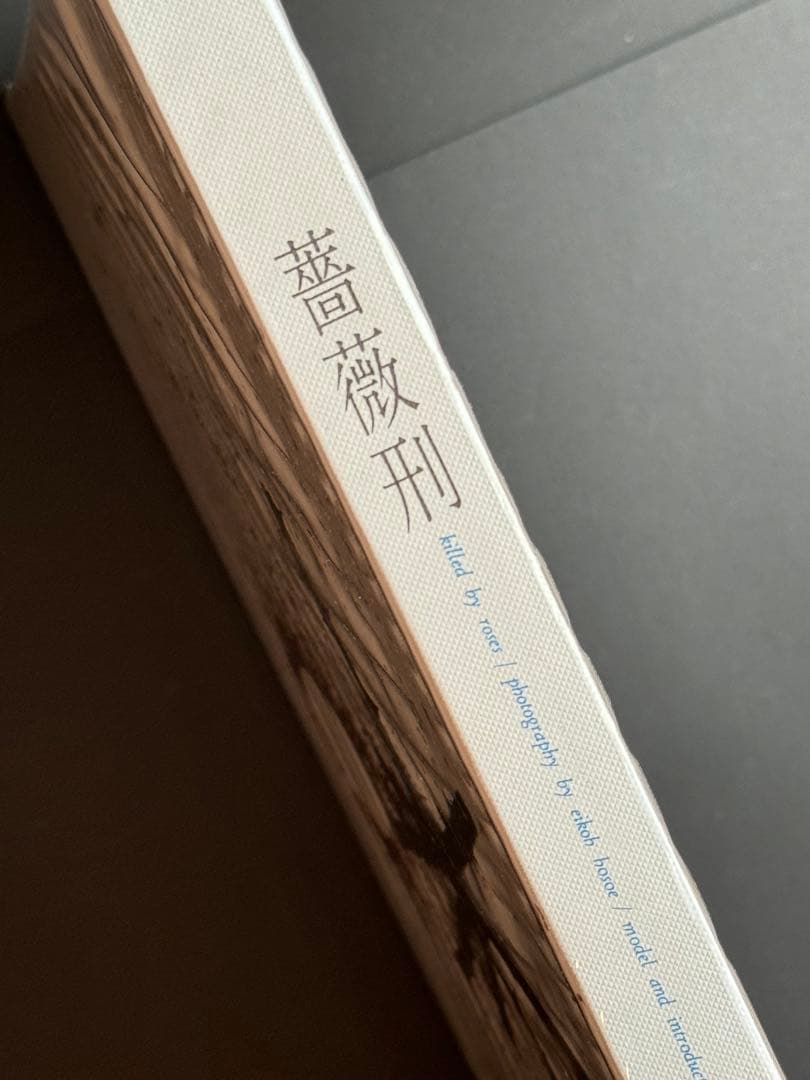 薔薇刑 細江英公 三島由紀夫 完全復刻版 NADiff 2008 - メルカリ