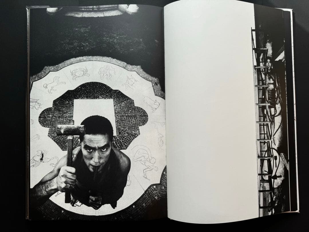 薔薇刑 細江英公 三島由紀夫 完全復刻版 NADiff 2008 - メルカリ