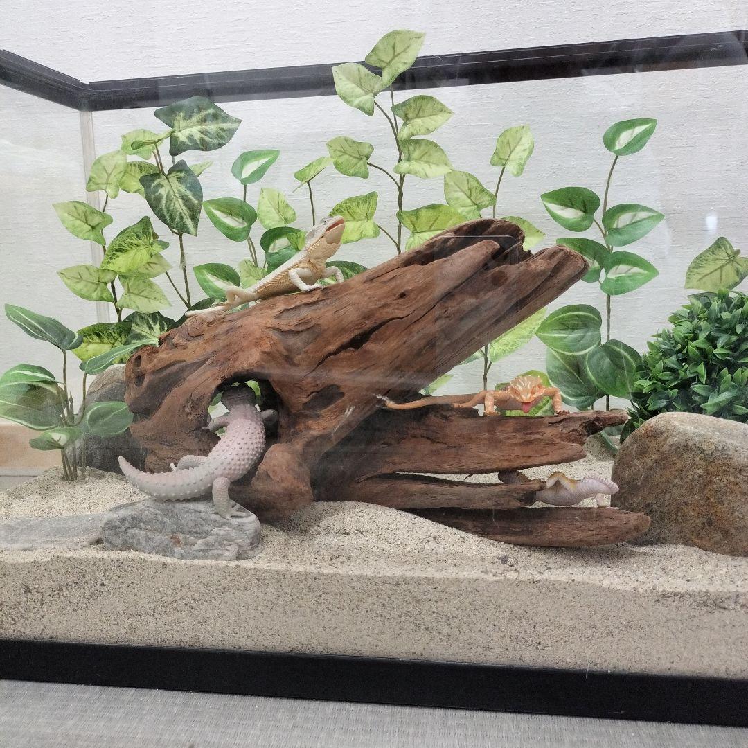No.1154】シェルター流木 爬虫類レイアウト✫インテリア✫エアー