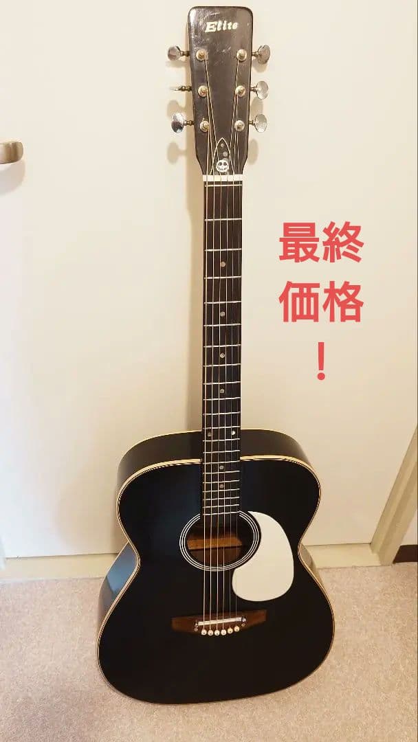 Elite エリート F100 TAKAMINE GAKKI 60年代 希少
