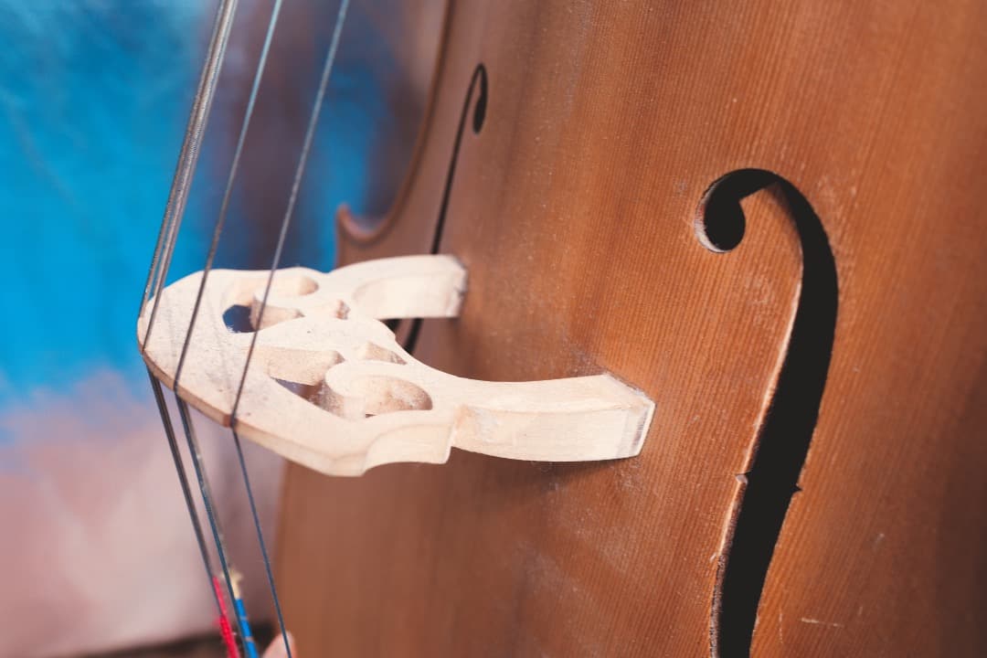 チェロ 4/4 5弦 【引き取り限定】関西 - メルカリ