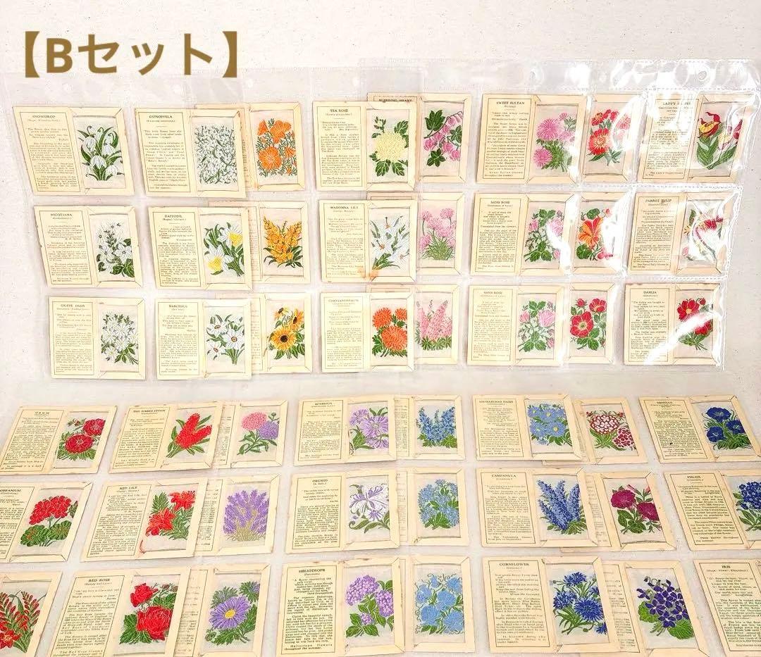 【Bセット】花の刺繍　シガレットカード　Sサイズ 48枚セット Amazon.co.jp: 花の刺繍のシガレットカード Mサイズ 60枚セット