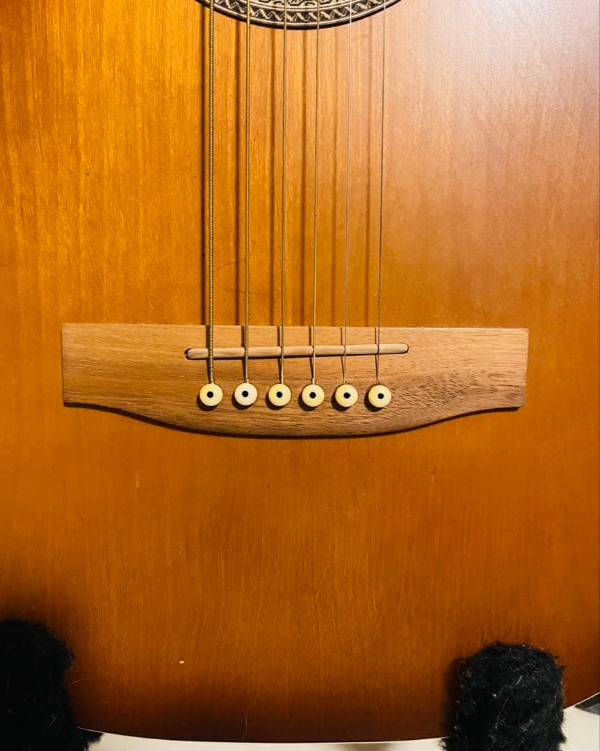 特典追加！Art & Lutherie gibsonストラップ付