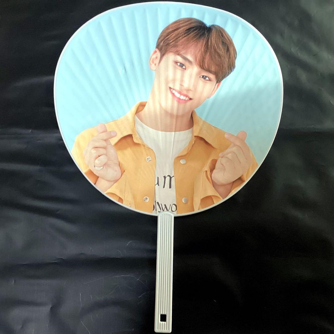 SEVENTEEN ミンギュ ペンミうちわ 2本セット MINGYU セブチ - メルカリ