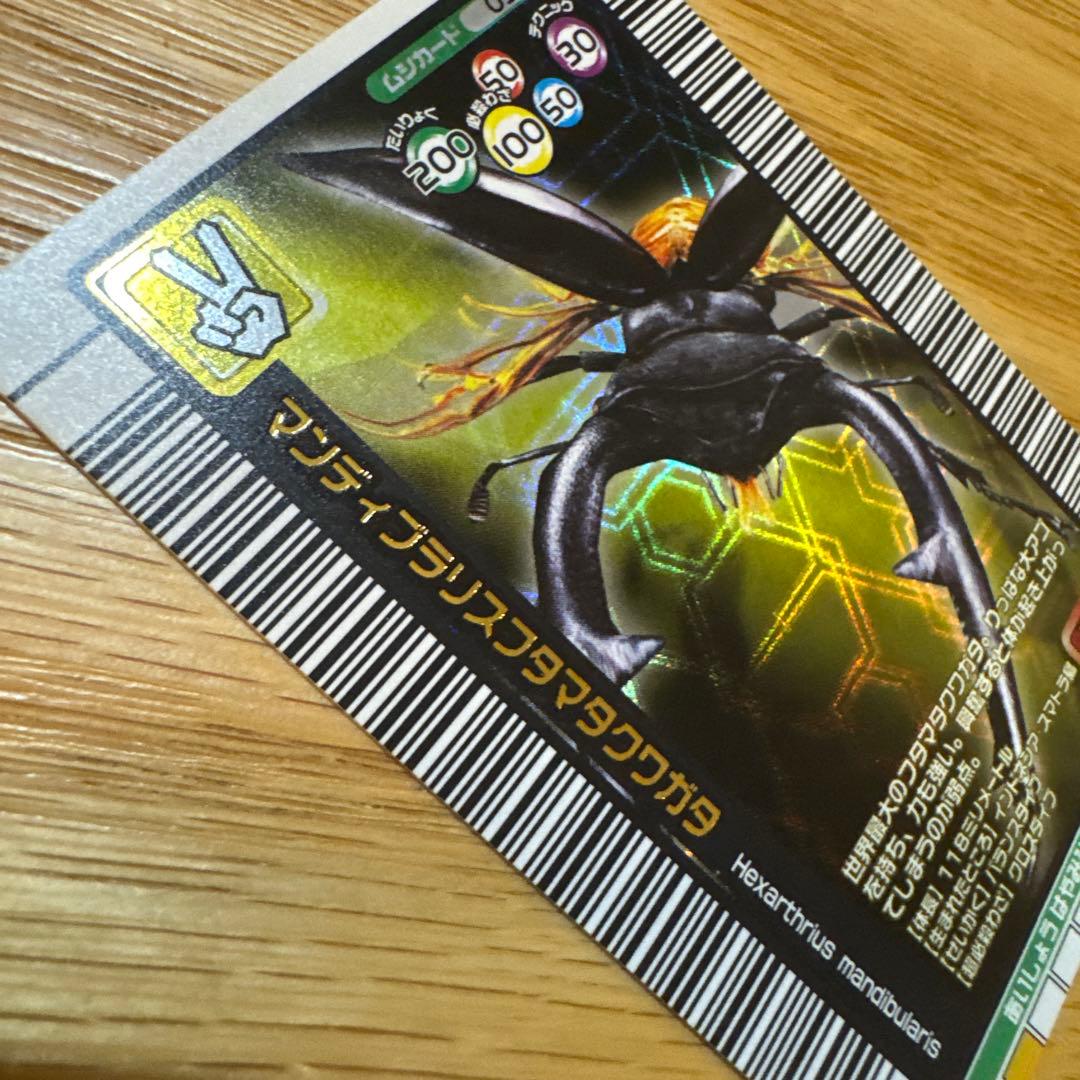 限定美品】マンディブラリスフタマタクワガタ ムシキング 2005夏限定