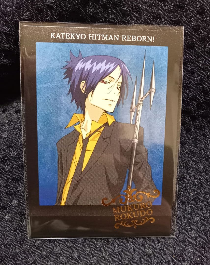 家庭教師ヒットマンREBORN ぱしゃこれ 第1弾 六道骸 レア 箔押し